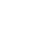 Real Estate Icon
